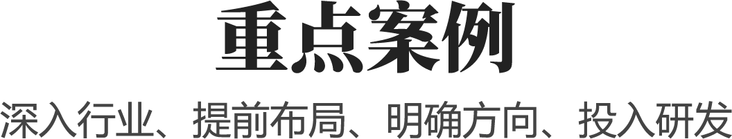 重点案例