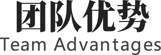团队优势
